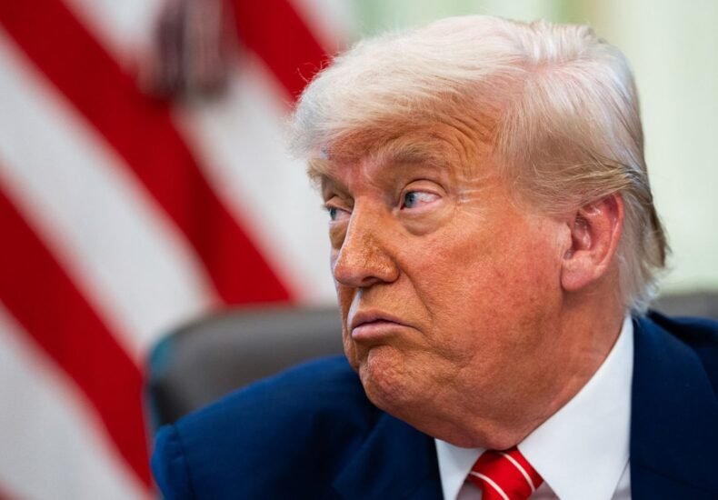 В Британии рассказали, кто уговаривал Трампа возобновить работу Starlink для Украины