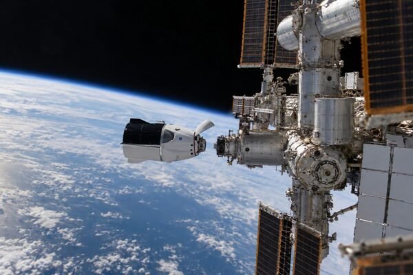 На МКС выращивают человеческий мозг: SpaceX доставила новые биотехнологии NASA