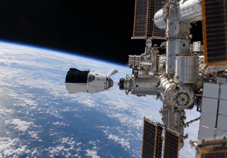 На МКС выращивают человеческий мозг: SpaceX доставила новые биотехнологии NASA